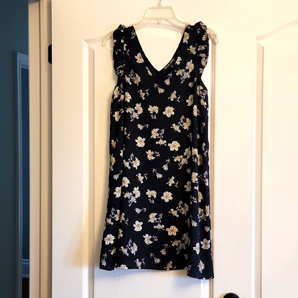 Belle Vere size 4 swing dress